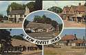 New Forest Inns Multi View PPC (20464)
