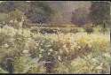 Meadow Postcard (20511)