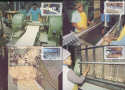 1985-07-25 Transkei Match Industry Maxi FDC (30540)
