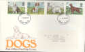 1979-02-07 Dogs Devon FDI (31404)
