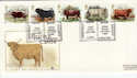 1984-03-06 British Cattle Hereford FDC (37684)