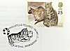 1995-01-17 Cats Bromsgrove (4140)