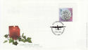 2002-11-05 Christmas Stamp 68p 617 Squadron pmk FDC (63049)