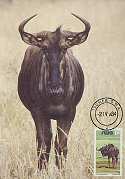 1984-04-02 Wildebeest Maxi Stamp Card (6533)