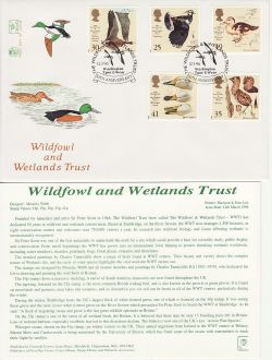 1996-03-12 Wildfowl and Wetlands Washington FDC (83061)