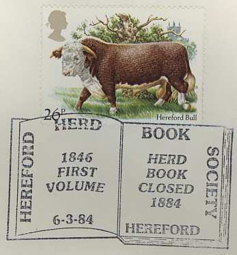 Herd Book Hereford (pm242)