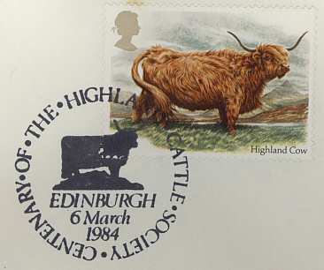 Highland Cattle Edinburgh (pm243)