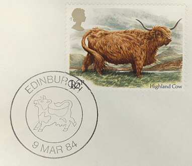 Edinburgh Highland Cow (pm244)